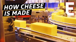 How Cheddar Cheese Is Made In a Factory — The Process [upl. by Rikki]