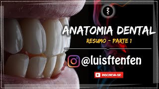 Anatomia Dental RESUMO Parte 1 [upl. by Nemrak]