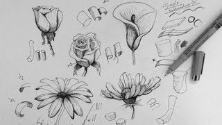 Pen amp Ink Drawing Tutorial  How to draw flowers part 1 [upl. by Brina]