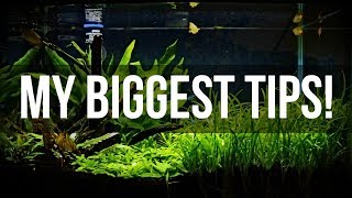 Planted Aquariums for Beginners  My Biggest Tips [upl. by Nyrmac774]