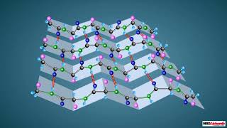 Proteins and their Structure [upl. by Asserak160]