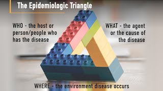 What is Epidemiology [upl. by Oloapnaig]