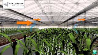 Greenhouse fan  Multifan VFloFan by Vostermans Ventilation [upl. by Ahsiryt]