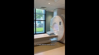 Understanding the Power of MRI Magnets Safety Precautions and Technology [upl. by Ahsienyt]