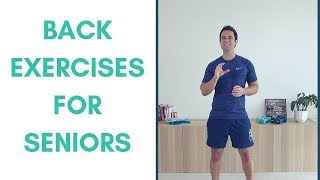 Essential Lower Back Exercises for Seniors [upl. by Bodrogi]