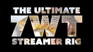 The Ultimate 7wt Fly Fishing Streamer Rig [upl. by Eelime]