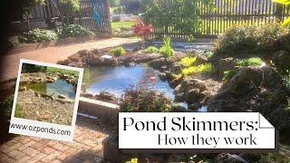 Pond skimmers How they work [upl. by Elehcar137]