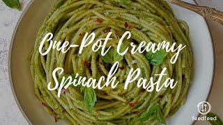 Vegan OnePot Spinach Pasta [upl. by Alfons]