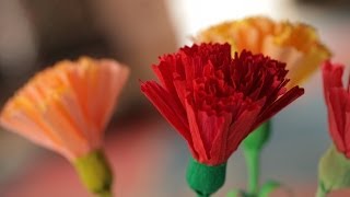 How to Make Crepe Paper Flowers [upl. by Aihk]