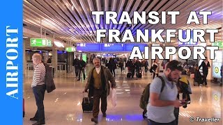 TRANSIT WALK AT FRANKFURT Airport FRA Terminal 1  Connection Flight Transfer Arriving amp Departing [upl. by Gleich732]