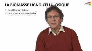 Définition caractérisation et propriétés de la biomasse lignocellulosique [upl. by Nerti]