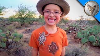 Horned Lizards in Our Backyard [upl. by Atikim]