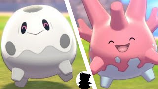 【Pokemon Camp】Corsola vs Galar・Cursola＆Shiny Evolution Cute [upl. by Lemmie621]