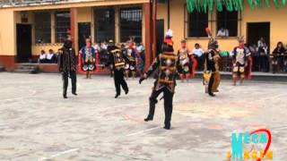 Baile de los Micos Estampa Folklorico 2011 [upl. by Jesselyn995]