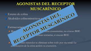 AGONISTAS DE LOS RECEPTORES MUSCARINICOS [upl. by Salahcin]